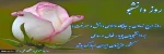 پیام رییس دانشگاه فنی و حرفه ای به مناسبت روز دانشجو
