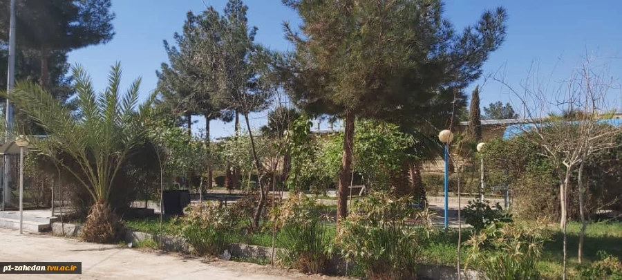 محیط آموزشکده شهید باهنر زاهدان 11