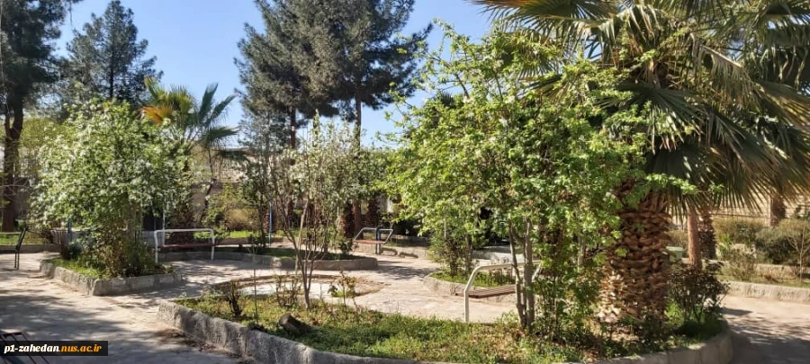 محیط آموزشکده شهید باهنر زاهدان 14