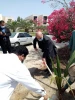 بازدید دکتر صالحی عمران از دانشگاه دریانوردی چابهار 6