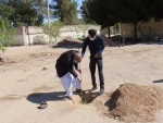 کاشت نهال در هفته درخت کاری 2