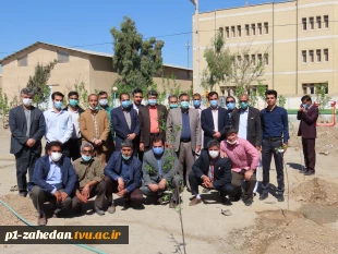 کاشت نهال در هفته درخت کاری 2