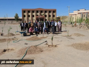 کاشت نهال در هفته درخت کاری 3