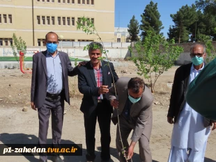 کاشت نهال در هفته درخت کاری 4
