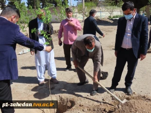 کاشت نهال در هفته درخت کاری 5
