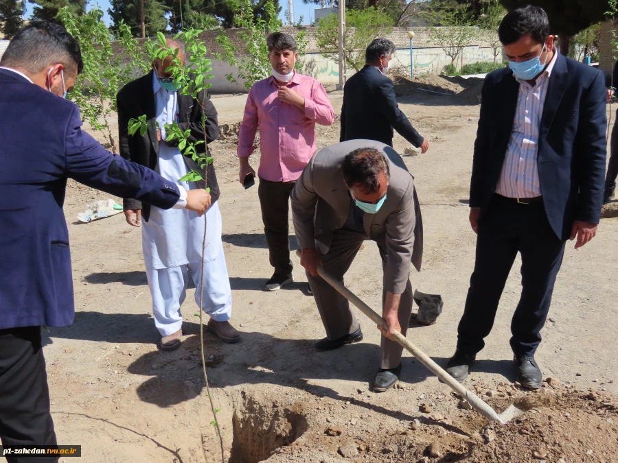 کاشت نهال در هفته درخت کاری 5