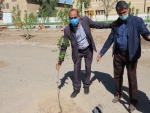 کاشت نهال در هفته درخت کاری 6