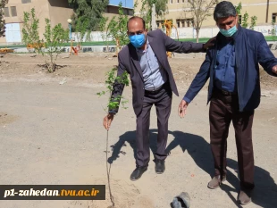 کاشت نهال در هفته درخت کاری 6