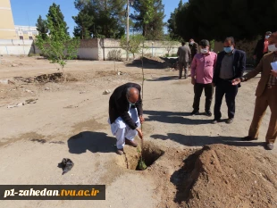 کاشت نهال در هفته درخت کاری 7