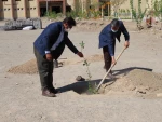 کاشت نهال در هفته درخت کاری 8