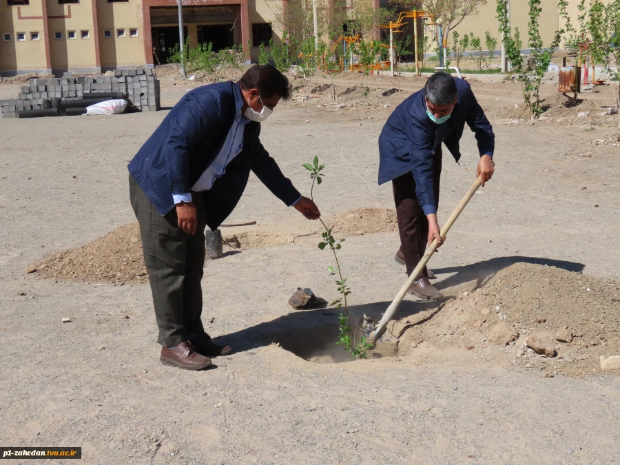 کاشت نهال در هفته درخت کاری 8