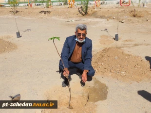 کاشت نهال در هفته درخت کاری 10