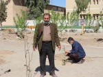 کاشت نهال در هفته درخت کاری 11