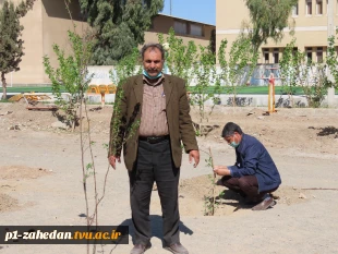 کاشت نهال در هفته درخت کاری 11