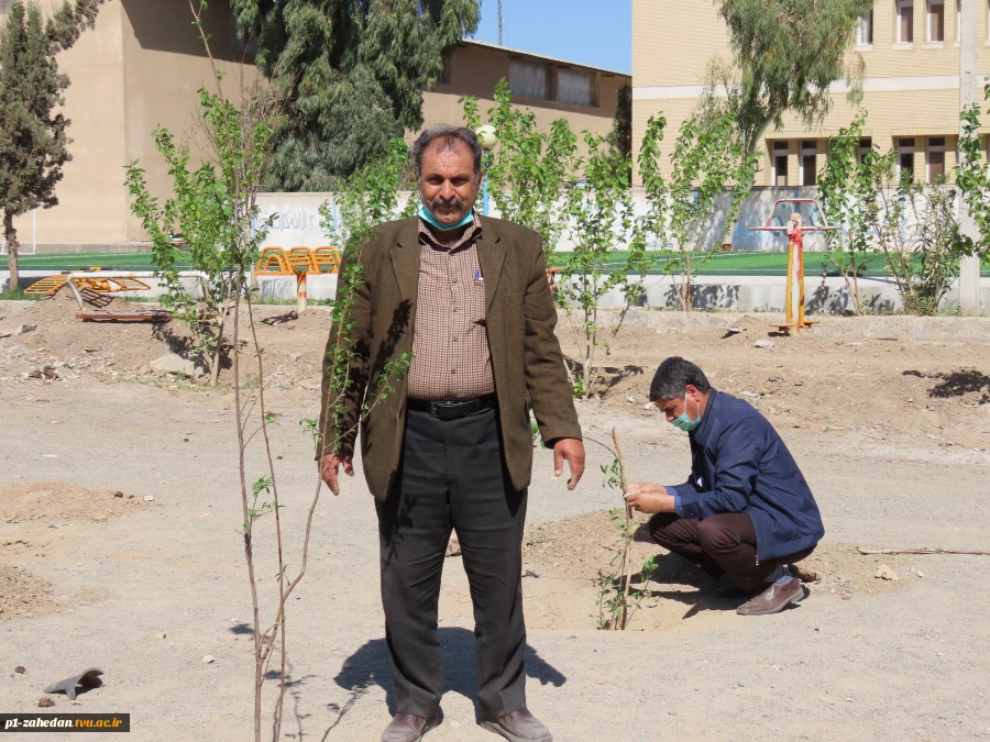کاشت نهال در هفته درخت کاری 11