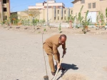 کاشت نهال در هفته درخت کاری 12