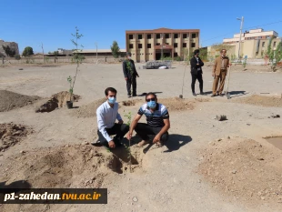 کاشت نهال در هفته درخت کاری 13