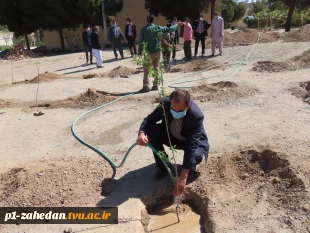 کاشت نهال در هفته درخت کاری 14