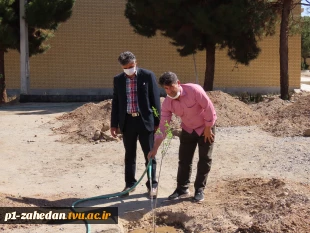 کاشت نهال در هفته درخت کاری 15
