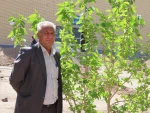 کاشت نهال در هفته درخت کاری 16