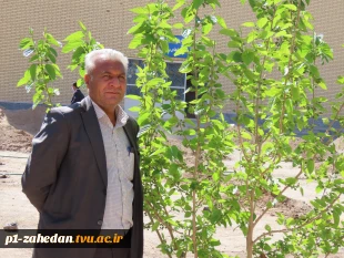 کاشت نهال در هفته درخت کاری 16