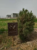 بازدید دکتر کرد ریاست محترم  به همراه معاون اداری- مالی دانشگاه فنی و حرفه ای استان از آموزشکده فرخی زابل 8