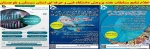 علام نتایج مسابقات هفته پژوهش 2