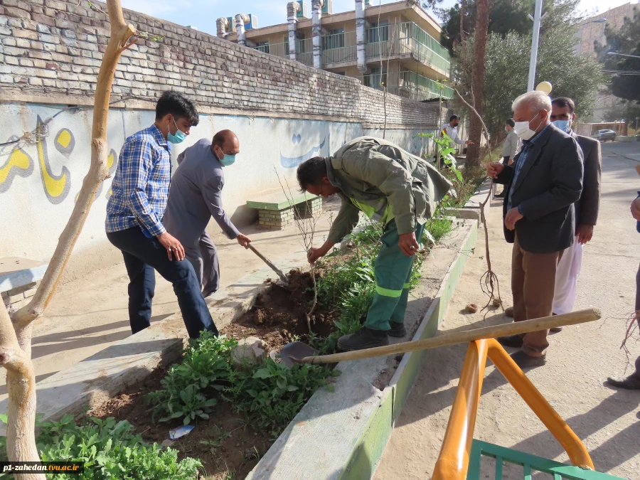 برگزاری آیین روز درختکاری در دانشگاه فنی وحرفه ای استان سیستان وبلوچستان
 2