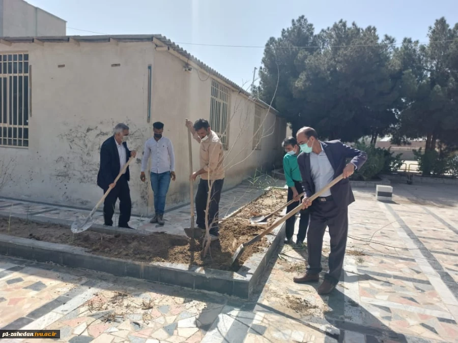 برگزاری آیین روز درختکاری در دانشگاه فنی وحرفه ای استان سیستان وبلوچستان
 3