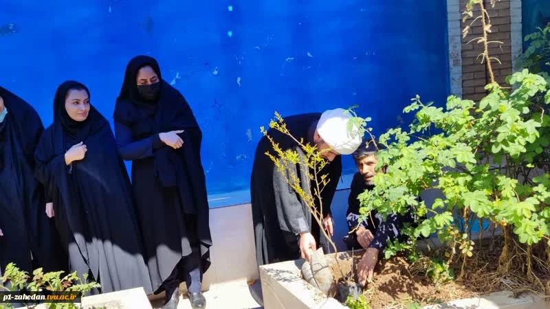 آیین هفته درختکاری در دانشگاه فنی وحرفه‌ای واحد استان سیستان وبلوچستان برگزار شد. 3