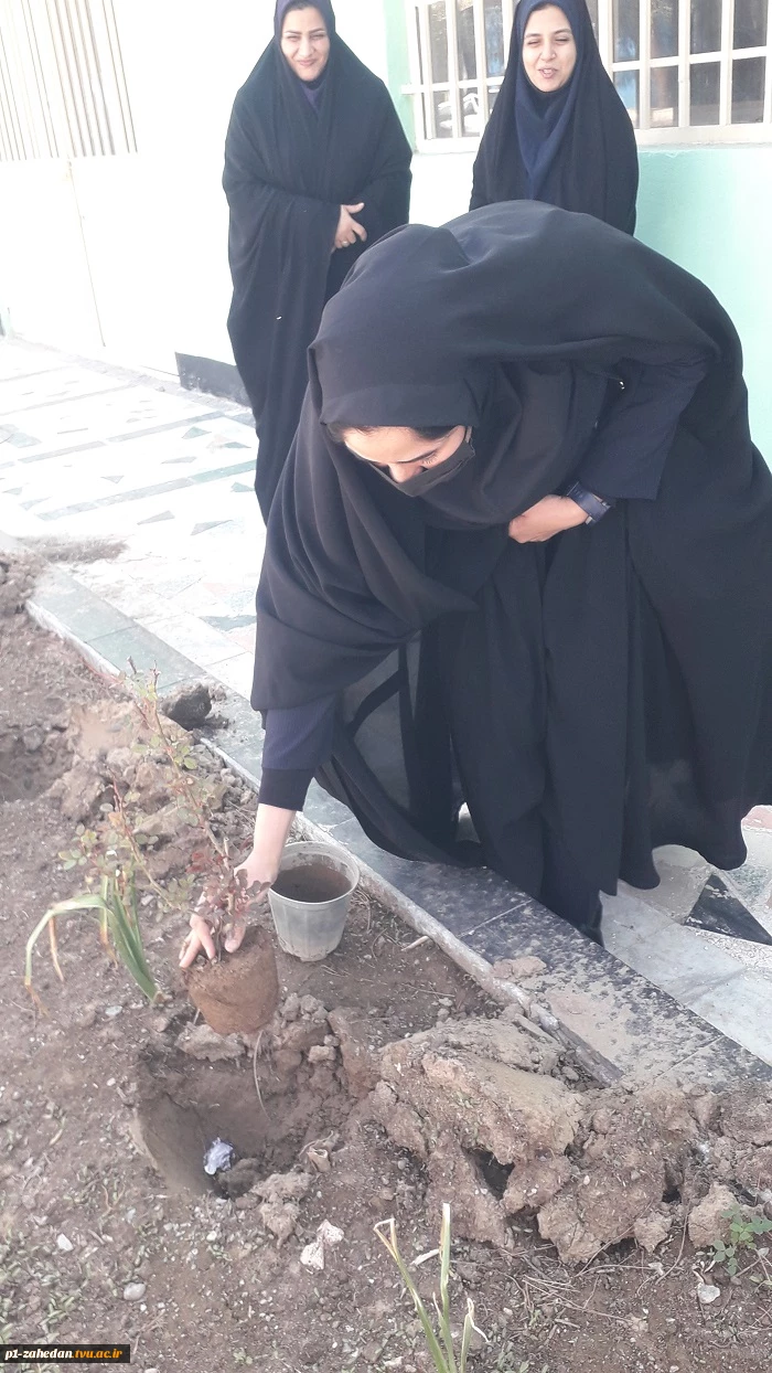 آیین هفته درختکاری در دانشگاه فنی وحرفه‌ای واحد استان سیستان وبلوچستان برگزار شد. 6