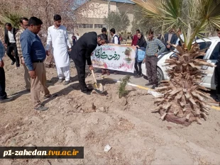 آیین هفته درختکاری در دانشگاه فنی وحرفه‌ای واحد استان سیستان وبلوچستان برگزار شد. 3