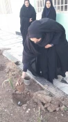 آیین هفته درختکاری در دانشگاه فنی وحرفه‌ای واحد استان سیستان وبلوچستان برگزار شد. 7
