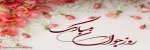 ولادت حضرت علی اکبر( ع ) 2