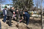 با حضور رئیس دانشگاه فنی و حرفه‌ای کشور صورت گرفت:
غرس چند اصله نهال در دانشکده فنی و حرفه‌ای شهید شمسی‌پور 4