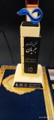 کسب رتبه‌های برتر دانشگاهیان دانشگاه ملی مهارت در اولین جشنواره ملی جریان 7