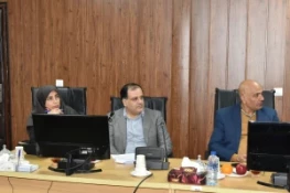 در راستای تکریم استادان بازنشسته دانشگاه‌؛
نشست سرپرست دانشگاه ملی مهارت با جمعی از استادان بازنشسته دانشگاه ملی مهارت 3