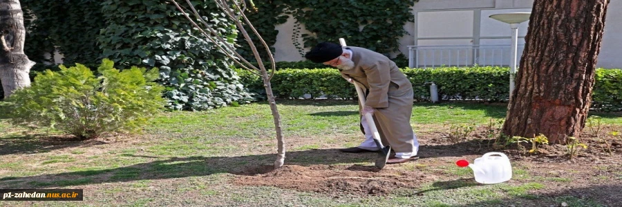 روز درختکاری 2