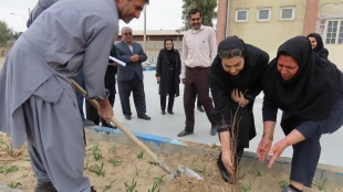 باحضورمسئولین و دانشجویان دانشگاه فنی و حرفه ای استان کرمانشاه برگزار شد :
 کاشت نهال به مناسبت روز درختکاری و آغاز هفته منابع طبیعی
 5