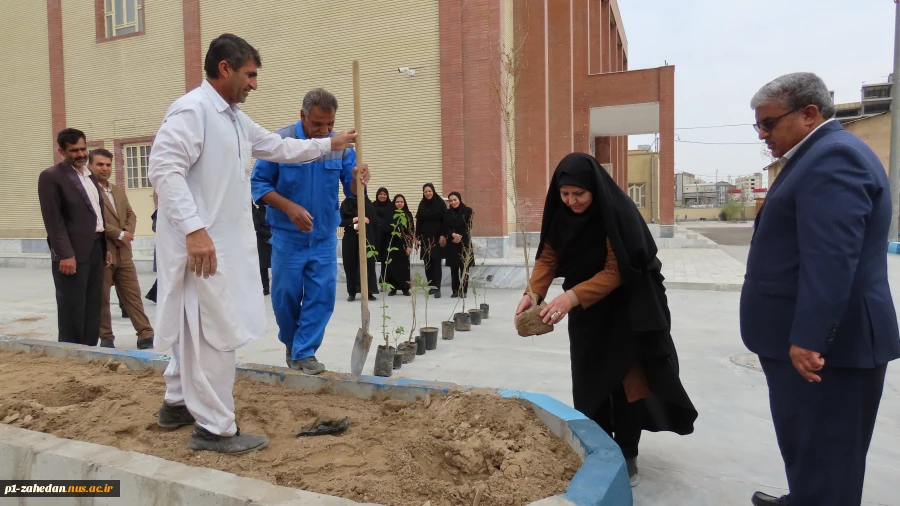 باحضورمسئولین و کارکنان دانشگاه ملی مهارت واحد استان سیستان و بلوچستان برگزار شد :
کاشت نهال به مناسبت  هفته منابع طبیعی و روز درختکاری 3