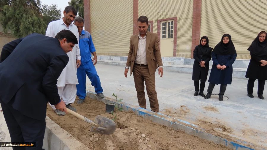باحضورمسئولین و کارکنان دانشگاه ملی مهارت واحد استان سیستان و بلوچستان برگزار شد :
کاشت نهال به مناسبت  هفته منابع طبیعی و روز درختکاری 6