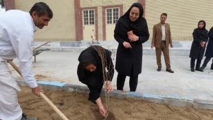 باحضورمسئولین و کارکنان دانشگاه ملی مهارت واحد استان سیستان و بلوچستان برگزار شد :
کاشت نهال به مناسبت  هفته منابع طبیعی و روز درختکاری 7
