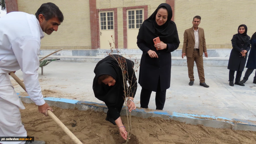باحضورمسئولین و کارکنان دانشگاه ملی مهارت واحد استان سیستان و بلوچستان برگزار شد :
کاشت نهال به مناسبت  هفته منابع طبیعی و روز درختکاری 7