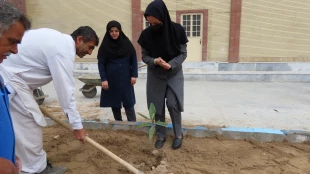 باحضورمسئولین و کارکنان دانشگاه ملی مهارت واحد استان سیستان و بلوچستان برگزار شد :
کاشت نهال به مناسبت  هفته منابع طبیعی و روز درختکاری 8