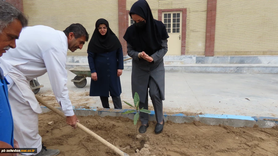 باحضورمسئولین و کارکنان دانشگاه ملی مهارت واحد استان سیستان و بلوچستان برگزار شد :
کاشت نهال به مناسبت  هفته منابع طبیعی و روز درختکاری 8