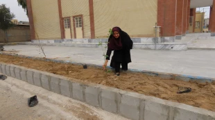 باحضورمسئولین و کارکنان دانشگاه ملی مهارت واحد استان سیستان و بلوچستان برگزار شد :
کاشت نهال به مناسبت  هفته منابع طبیعی و روز درختکاری 11