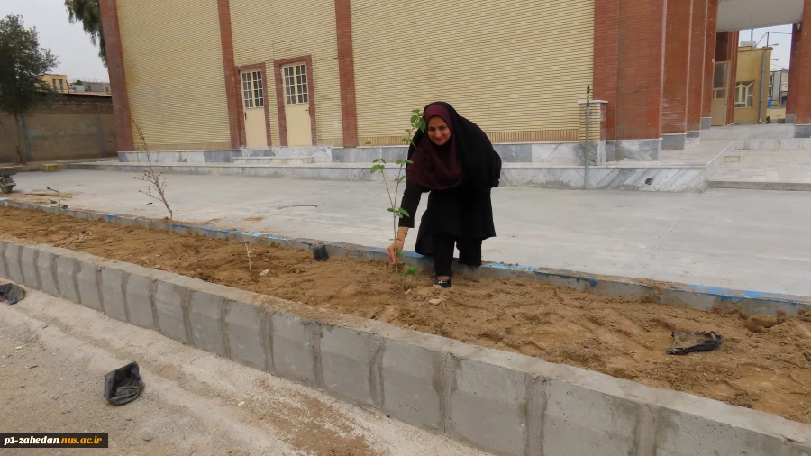 باحضورمسئولین و کارکنان دانشگاه ملی مهارت واحد استان سیستان و بلوچستان برگزار شد :
کاشت نهال به مناسبت  هفته منابع طبیعی و روز درختکاری 11